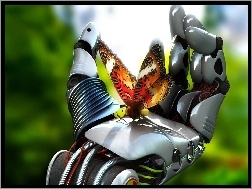 Motyl, Dłoń, Robota